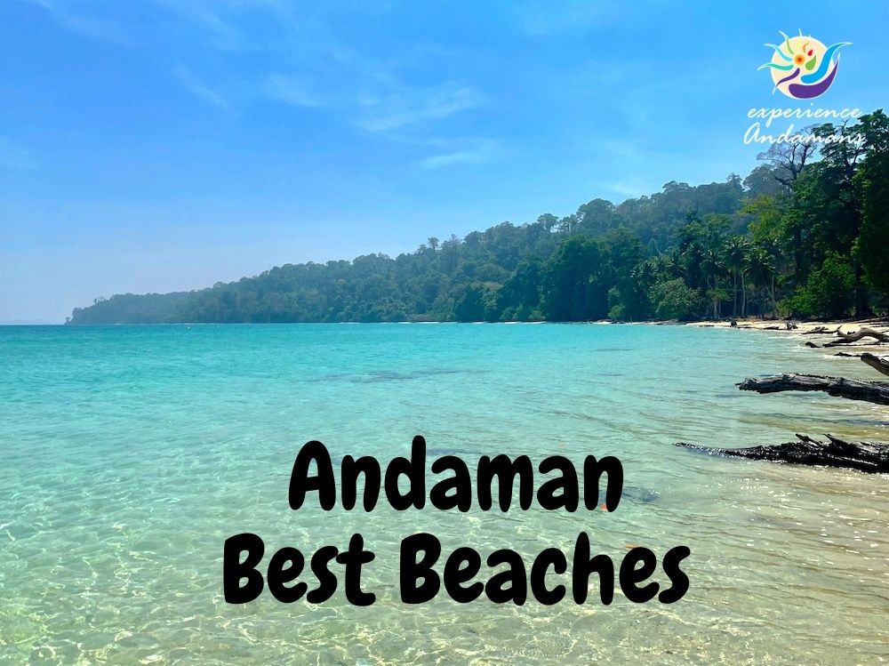 Enchanting Andaman: Embark on a Romantic Journey with the Ultimate Honeymoon Tour Package by Travel2Expert